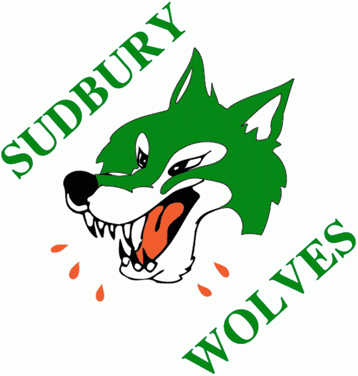 Sudbury Wolves 1987 88-1988 89 Primary Logo vinyl decal